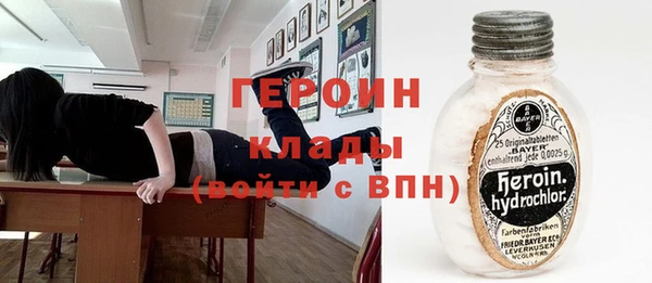 дурь Бородино
