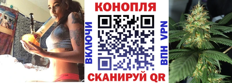 Купить где Лодейное Поле Шишки марихуана гибрид